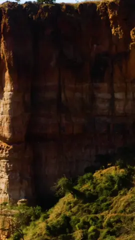 Gonarezhou,  Zimbabwe. #wearezimbabweans #visitzimbabwe #gonarezhou 