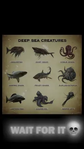 Deep sea Animals/ Vampire Shark 🦈 😲 #part1  #seashark #seaanimal  #deepsea  #viralshorts 