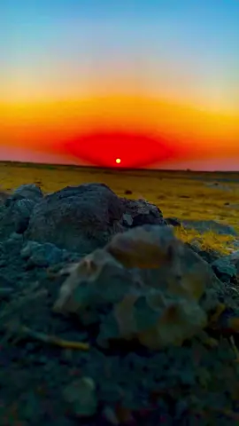 الخلگ شعره صفه #شعر #تصويري 