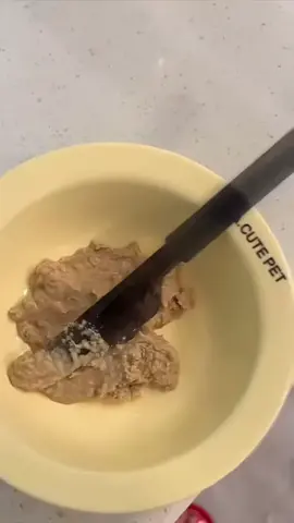 #แมวส้ม #แมวน่ารัก #เปิดการมองเห็น #สัตว์เลี้ยงtiktok #แมวพูดได้ 