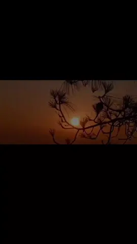 New ishaq Howa aek bar phr*😔😥❤️‍🩹🥀#fyppppppppppppppppppppppp #sadpoetrystatus💔😔😣 #poetrylines💔 #dontunderviewmyvideos🥀 #dear_tiktok_team_plzz_unfreez_my_acount🙏 @TikTok @TikTok for Business 