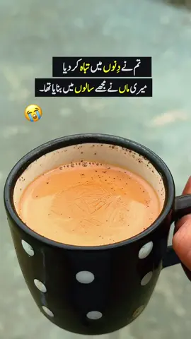 تم نے دنوں میں تباہ کردیا  میری ماں نے مجھے سالوں میں بنایا تھا ۔ #islamabad #growmyaccount #unfreezemyaccount #caption #tea 
