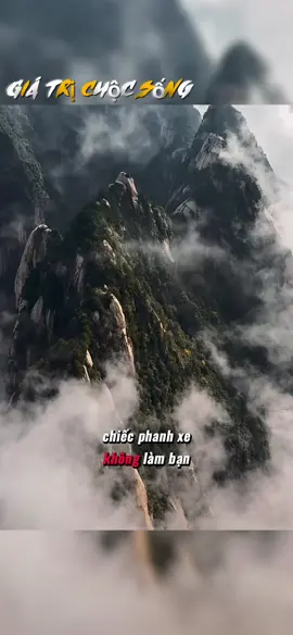 Chiếc phanh xe không làm bạn đi nhanh hơn, nhưng chính nó khiến bạn dám đi nhanh hơn #giatricuocsong #baihoccuocsong #truyencamhung #donglucmoingay✨ #xuhuong 