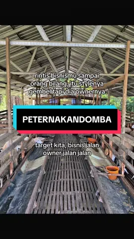 #peternakmuda #peternakan #juragankambing🐐 #domba #fyp 