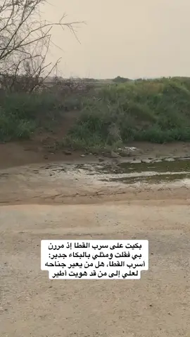 #طائرالقطاء# #جيزان_صامطه_صبيا__بيش  #متابعه_ولايك_واكسبلور_احبكم  #الشعب_الصيني_ماله_حل😂😂 