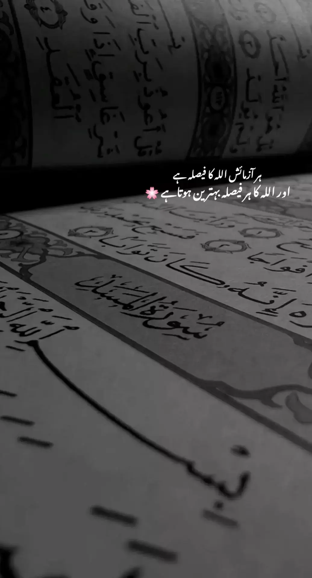 اللہ تعالیٰ اپنے بندوں کو آزماتا ہے…   کبھی صبر سے، کبھی شکر سے، کبھی محرومی سے۔   اور جب بندہ ہر حال میں رب پر راضی رہے،   تو اللہ اس کے لیے ایسے دروازے کھولتا ہے   جن کا گمان بھی نہ تھا۔   آزمائش کے بعد انعام یقینی ہے،   بس استقامت شرط ہے۔ #foryoupageofficiall #fyppppppppppppppppppppppp #growmyaccount #fyp #10millionadoptions 