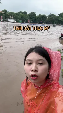 Phương thử việc - ngư dân thường trú tại Hà Nội cập nhật tình hình ngập lụt do mưa bão😭😭 #phuongthuviec #vutrumd #mdvietnam 