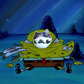 sponge bob edit song: smoke it off | #spongebob #spongebobedit #mrkrabs #mrkrabsedit #edit #fyp #viral #sigma #muning #gigochad 