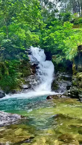 adem #curugpanjang #curugbogor #curug #fyp #alam 