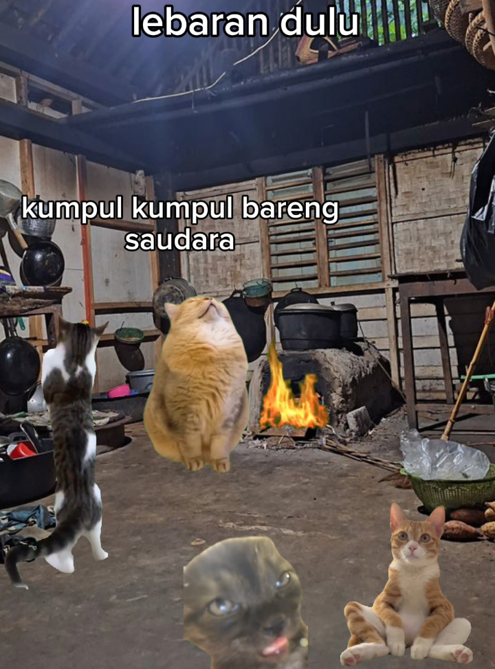 jadi kangen suasana lebaran dulu #kucinglucu #lebaran #takbiran #meme #kucing 