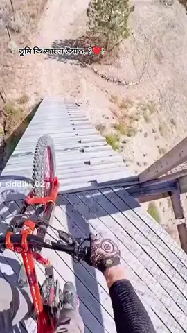 তুমি কি জানো উম্মত