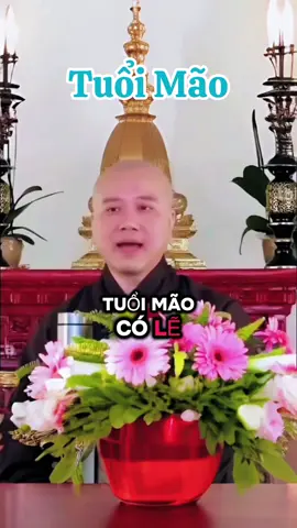 Tuổi mão” có lẽ là tuổi đẹp nhất trong 12 con giáp :” #tuoimao #thaythichphaphoa   #phatphapnhiemmau #fyp #12congiap 