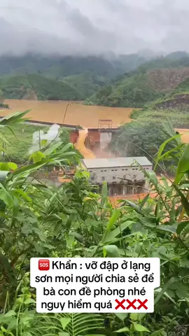 🆘🆘🆘 Khẩn mọi người ơi 🌊#TikTokAwardsVN #GiaLaiChillNews #news #lạngsơn #xuhuong 