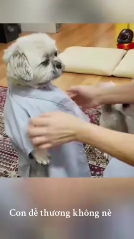 Con dễ thương không nè, các cô các bác ơi 