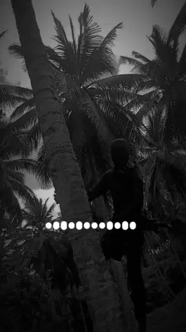 jangan terlalu serius ya om @hardiyonokau2 😅#masukberandafyp #petanikelapa🌴🌴 #panjat #kelapa #katakata 