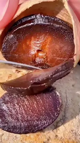 Black Garlic bawang hitam tunggal makanan diet sehat banyak manfaat yang tinggi akan antioksidan yang sangat penting untuk tubuh kamu #blackgarlic #bawanghitamtunggal #fruit #fruits #panenbuah 