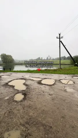 #рекомендации #ліснийхлібичин #комфорт 