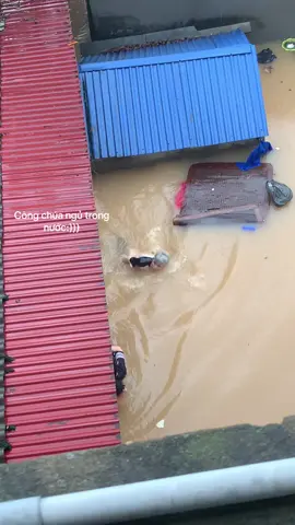 Công chúa ngủ trong nước đã quá☹️#TikTokAwardsVN #ngâplụt #đã #thainguyen 