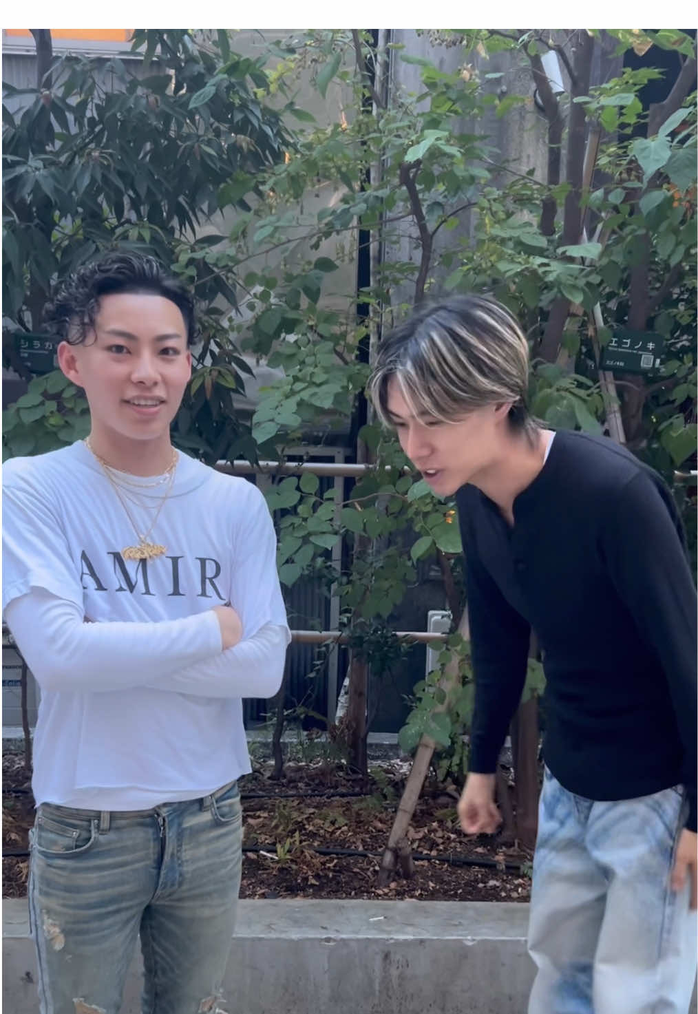 新曲「地元は渋谷」古川君に聴かせてみた #teeshyne #古川 #せんとちひろ @古川（こがわ）です @せんとちひろ 