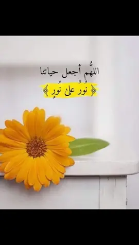#اللهم جبراً وعوض لقلوبنا ♡#يارب 🤲🏻اللهم اجعل اياماً مباركة وطمأنيـــــنة تلامس 💕قلوبنا#تصميم #اعادة_النشر🔃 #تركيا🇹🇷اسطنبول 