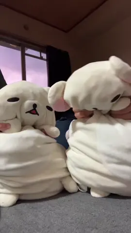 しぬう#リラックマ #リラックマの日常 #きんたりみ #リコの日常 