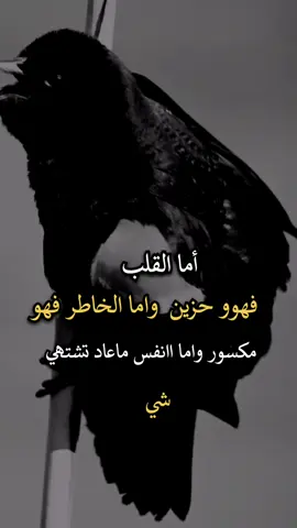 #اجمل_عبارة_راح_ثبتها📌 #عباراتكم_الفخمه📿📌 #افضل_عبارة_لها_تثييت 