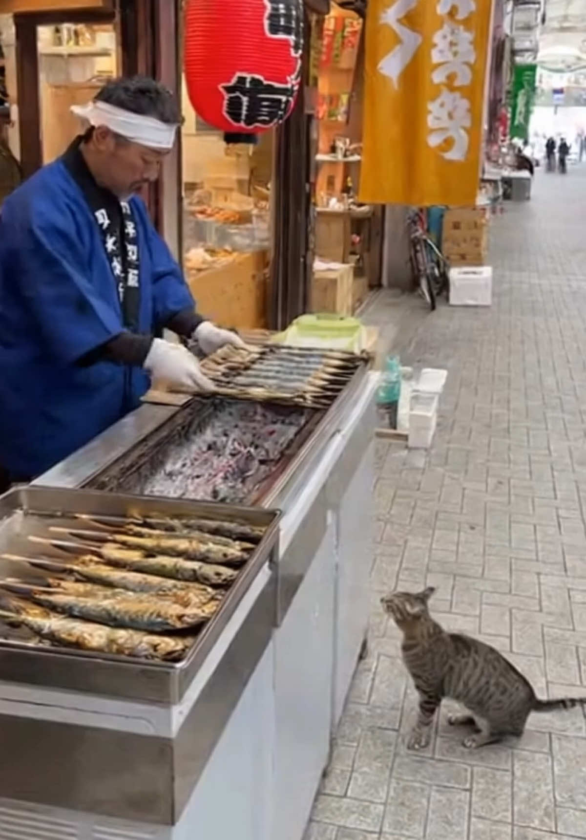 猫泥棒 vs おじさん🐱💨 #aivideo #AI動画 #猫 #面白動画  #日常あるある 