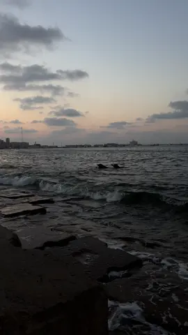 🌓 #videographyideas #ahmeddheshham 