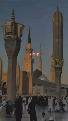 sarvery anbia 🤍🥀🥹#muhammadصَلَّى_اللّٰهُ_عَلَيْهِ_وَسَلَّم #madina #islamic_video #viraltiktok #creatorsearchinsights 