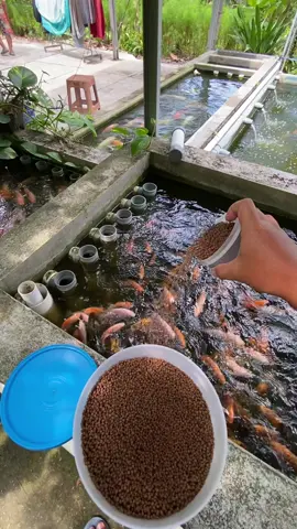 Pekerjaan kalo di niatkan ibadah pasti akan bertahan lama, untung di dunia dan akhirat.