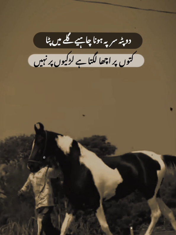#fyp #foryou #lines #viral #badkhanu 