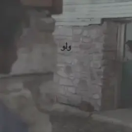 #CapCut 