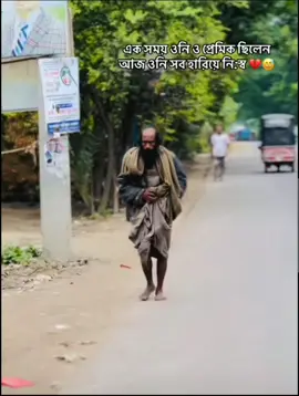 #creatorsearchinsights 