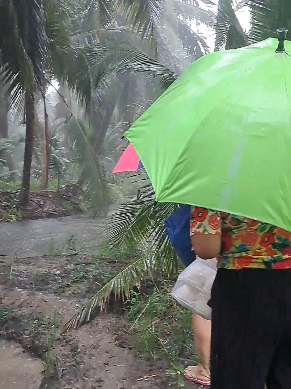 #ท่องเที่ยว  #ในวันที่ฝนตก  #tiktok #ธรรมชาติ 