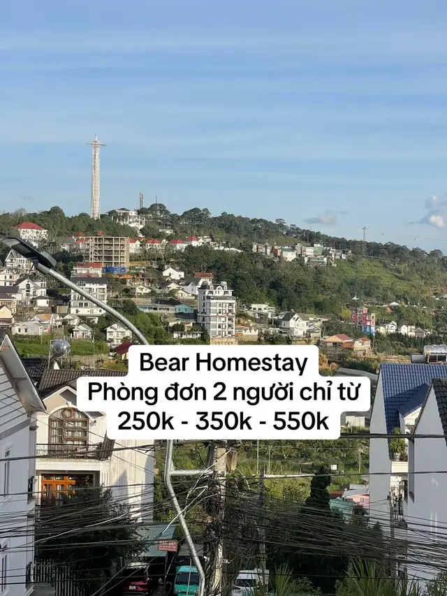 #bearhomestay #homestaydalat #dalat 