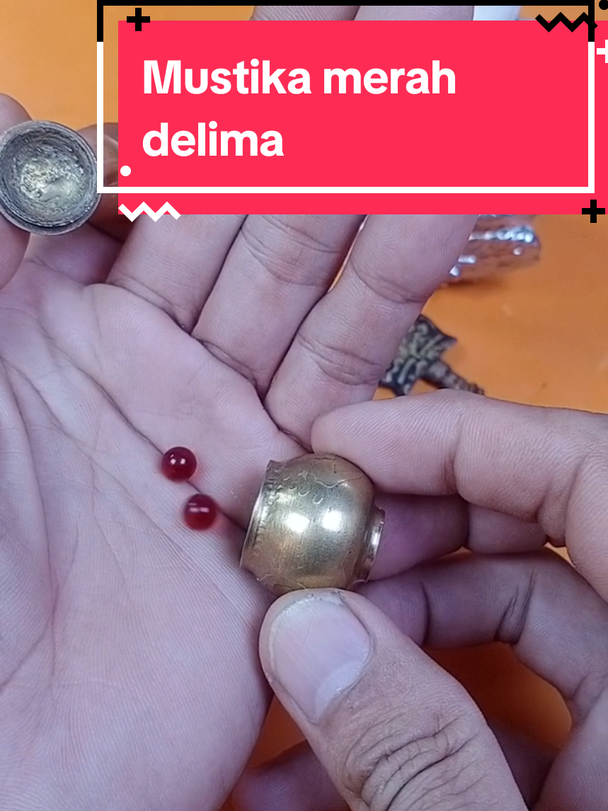 Membalas @user7321576282946 Merah delima gratis cupu harga terjangkau cocok untuk koleksi #merahdelima #cupumerahdelima #mustika #mustikamerahdelima