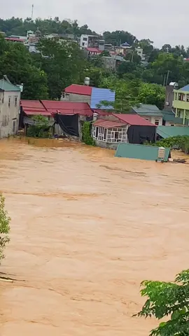 Tp Cao Bằng 7/10/25😢