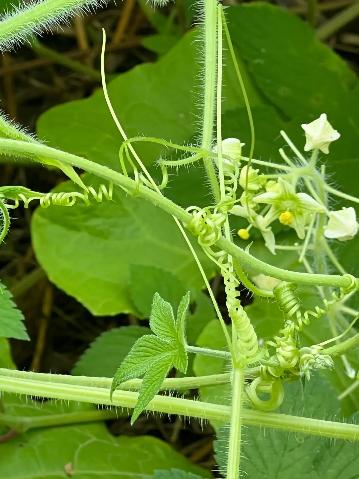 I love finding myself in nature