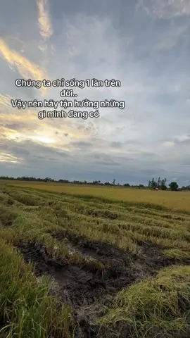 Cảnh chill phết.  #tiktok #fyp #dongthap #mientay #TikTok #xuhuong #mualuaqueem🌾🌾🌾 #Trend #chill #thơ 