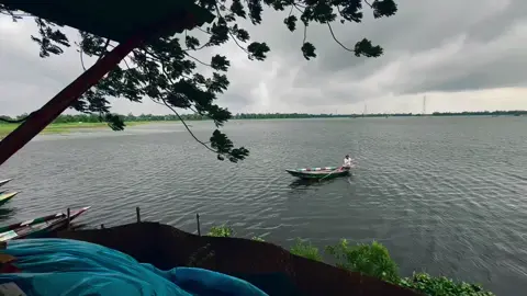 #viral #tiktok #nature #foryoupage #foryou 