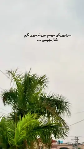 سردیوں کے موسم میں تم میرے شال جیسے ،کچھ دُھند جیسے کُچھ دھوپ جیسے ، برف زدہ ٹھٹھرتی لمبی راتوں میں ، دہکتے کوئلوں سے ملنے والے کوئی سکوں جیسے ۔۔۔ . . . #winter #fog #weather #romantic #poetry 