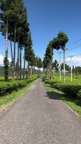 POV: maen ke Bandung bagian premium😍🍃 ayo tag pasanganmu yg mau diajak kesini, kalo ga ada sama aku aja😂 #ciwideypoenyacerita #cibuniciwidey #placetogobandung #explorebandung #fypppppppppppppp 
