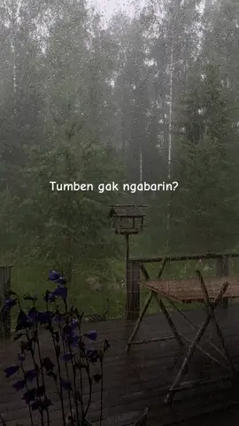 Tumben gak ngabarin? 