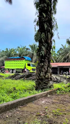 ☺️#fypage #fyp #trend #fypppppppppppppp #sawit 