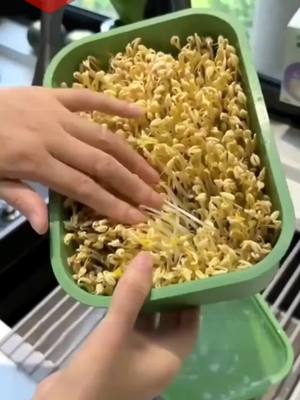 Trong thời gian khuyến mãi, giá giảm một nửa, số lượng có hạn
