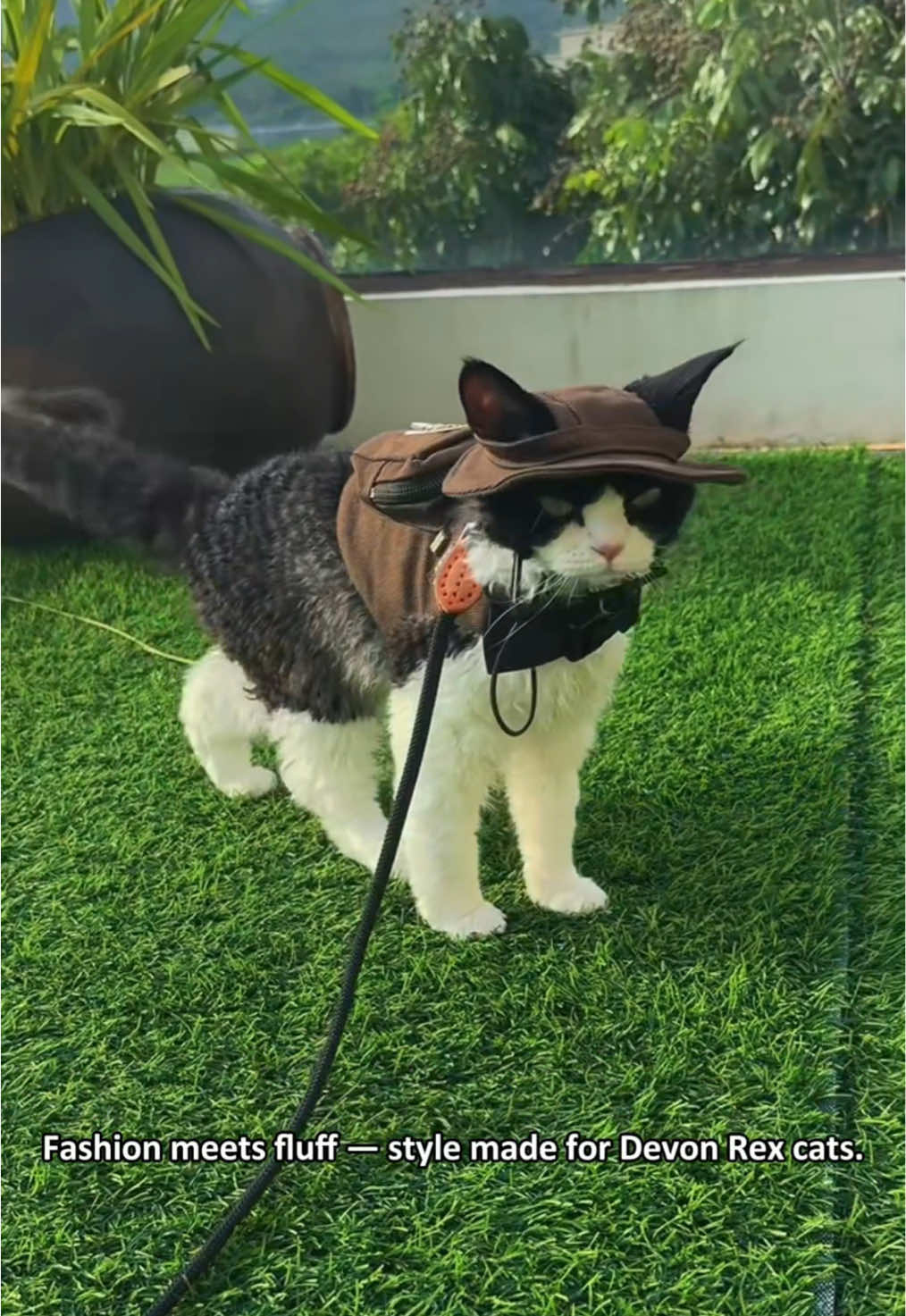 Would your cat strut in this outfit?#PetClothes  #CatClothes #PetFashion #OEMODM #FactoryDirect 