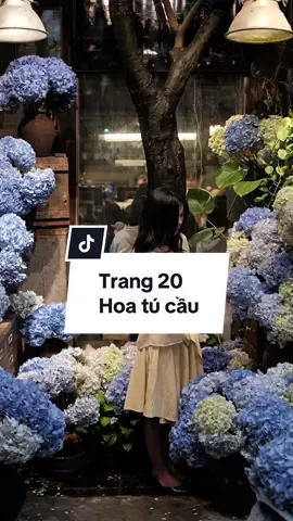 Trang 20: Vườn hoa không tàn