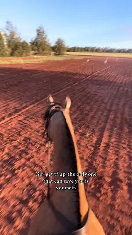 #inelkewetrust #quotes #sunset #horsesoftiktok #real