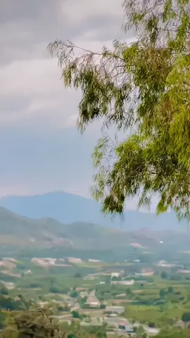 اب ہمیں ان سے سیکھنا ہوگا کہ پیار کیا ہے محبت کیا ہے 😷💔🤪#aksiddeeq   #introvertboy #devdas  #ishq @𝑫𝒓.𝑫𝒊𝒎𝒑𝒍𝒆🌺🩺 @Fatima Noor ⚡ 