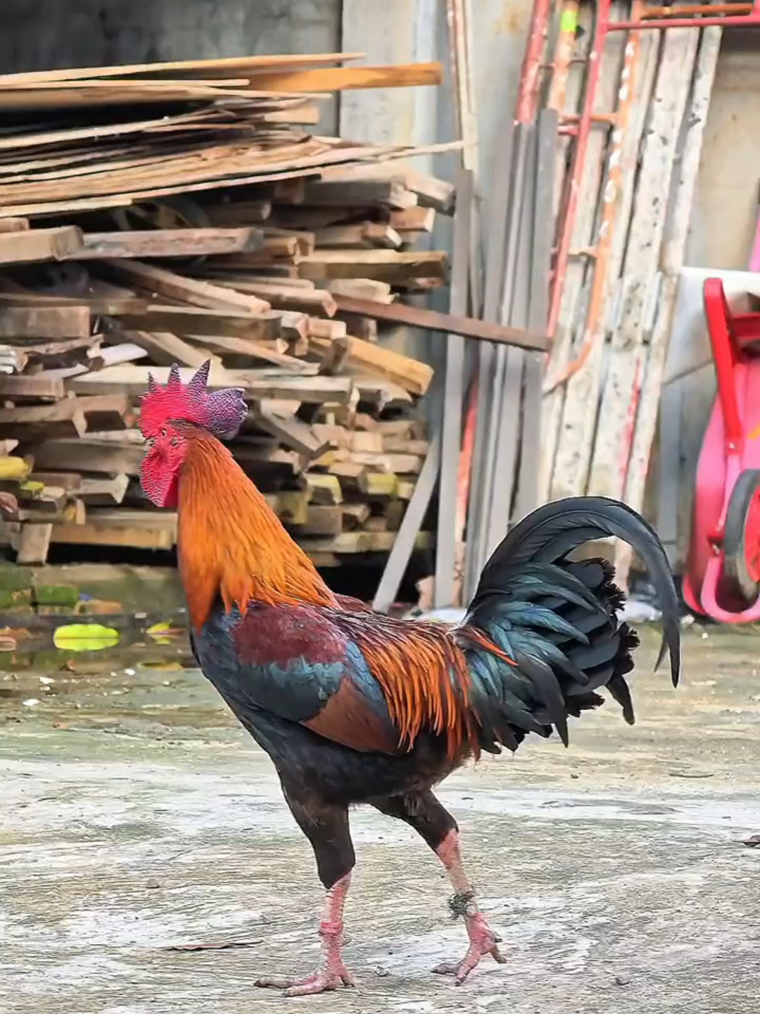 Test hd 1080 60Fps #vivox100ultra #Fyp #60fps #hd 